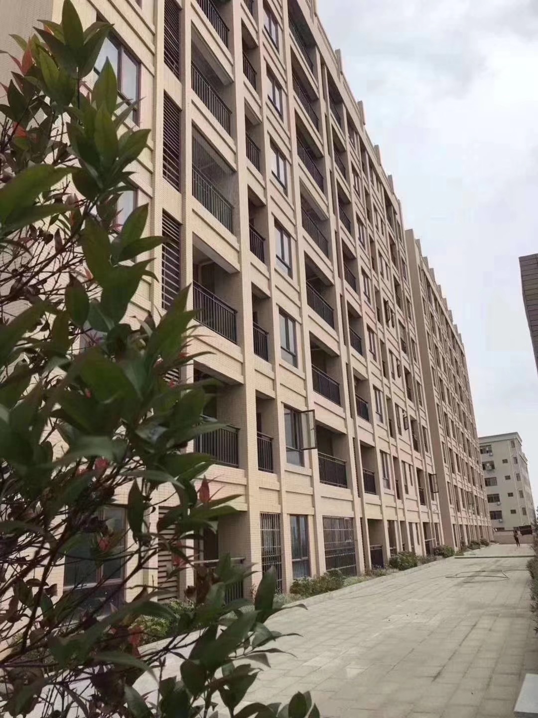 東莞沙田小產(chǎn)權(quán)房樓盤(pán)新城花園低價(jià)出售4580元/㎡