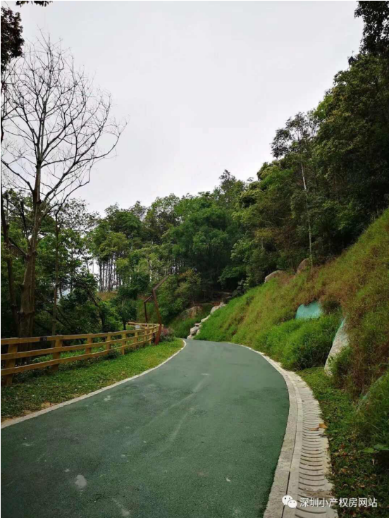 山水綠園一房一廳56平方，56.8萬/套起