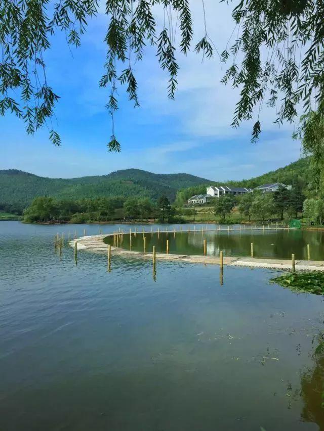 沒出省被浙江農村自建房房主給截胡了