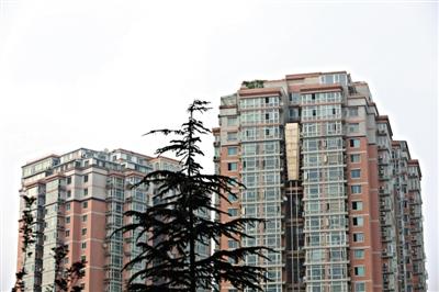 看了一個(gè)芍藥居北里的房產(chǎn)