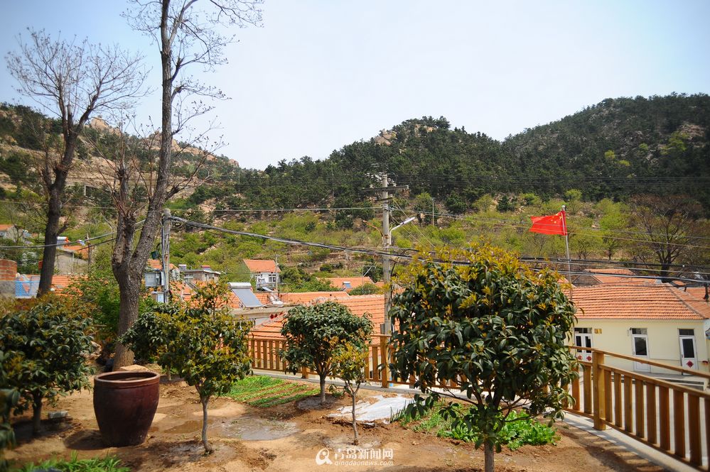 但四姜片區的老住民曲大娘告訴新聞網記者