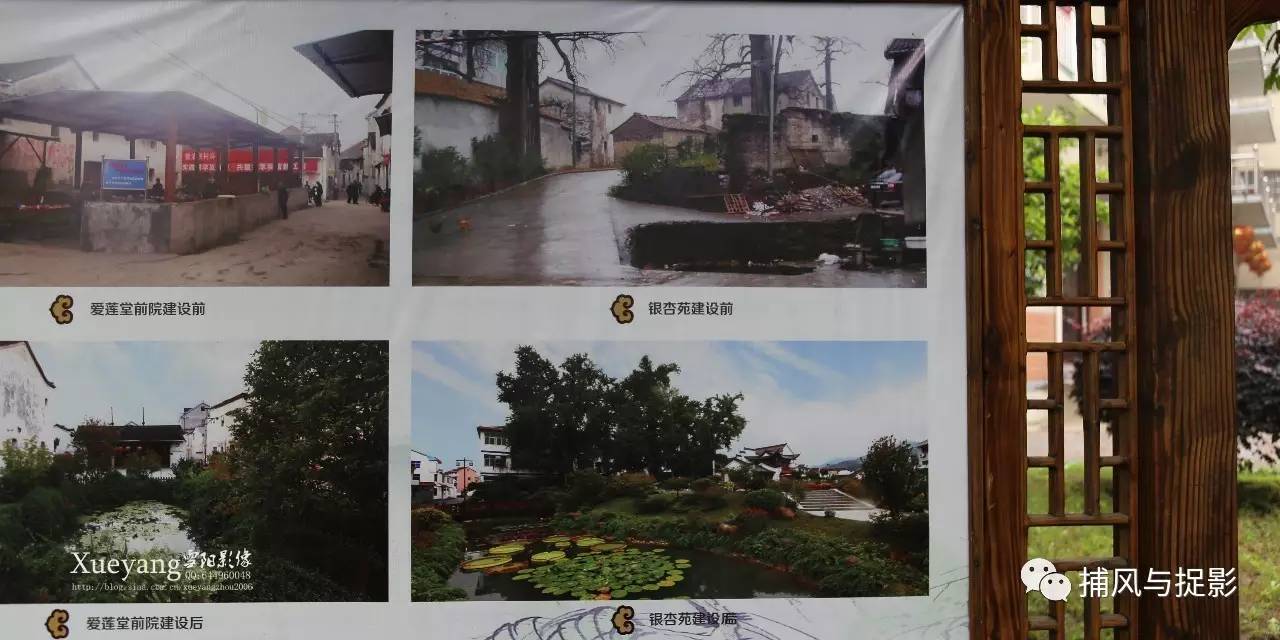 環溪村基本完成了全村環境的綜合整治