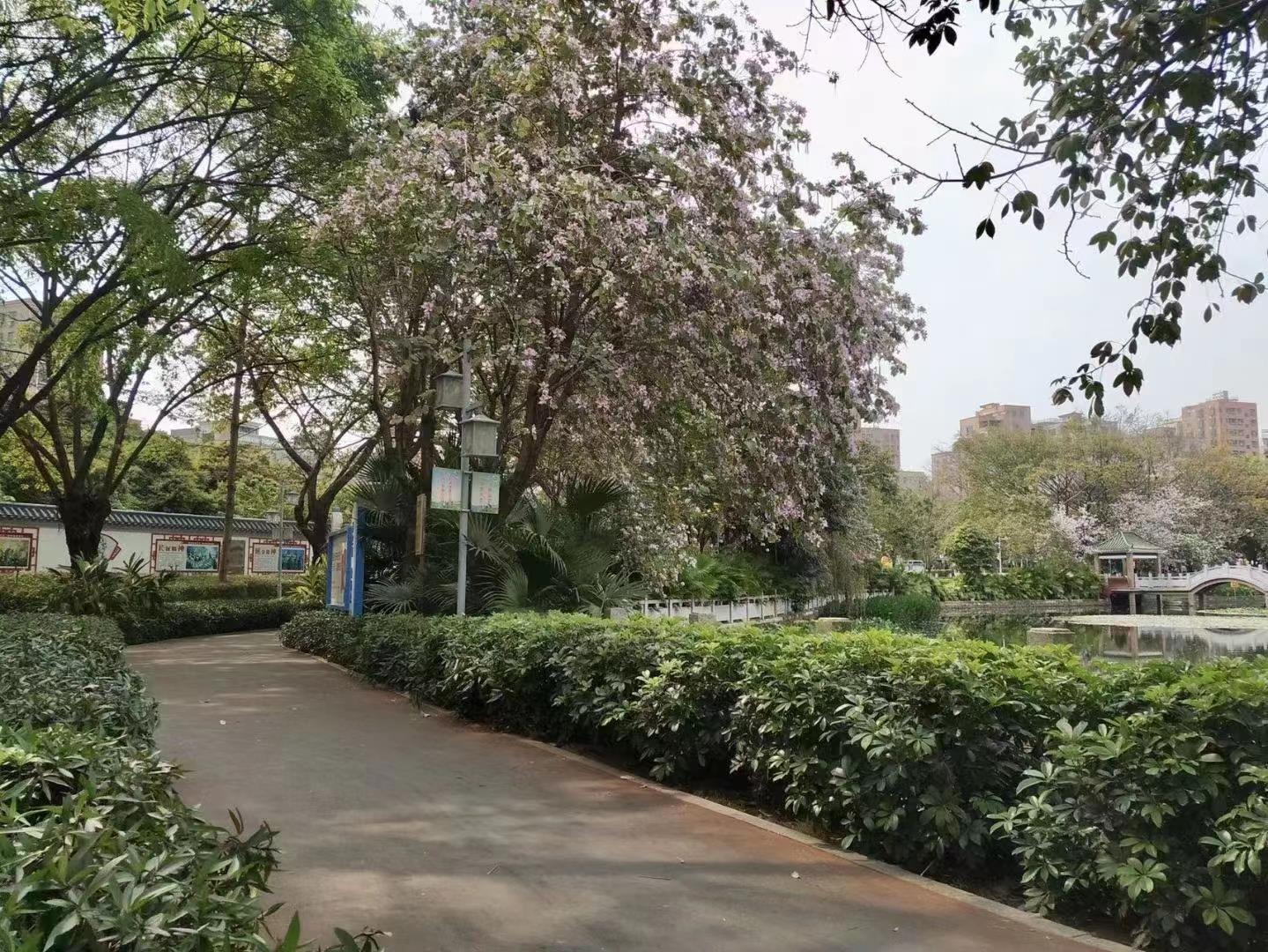 光明區新盤風華名苑